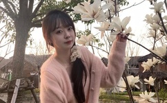 王梅广场舞大辫子